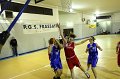 Basket 443032